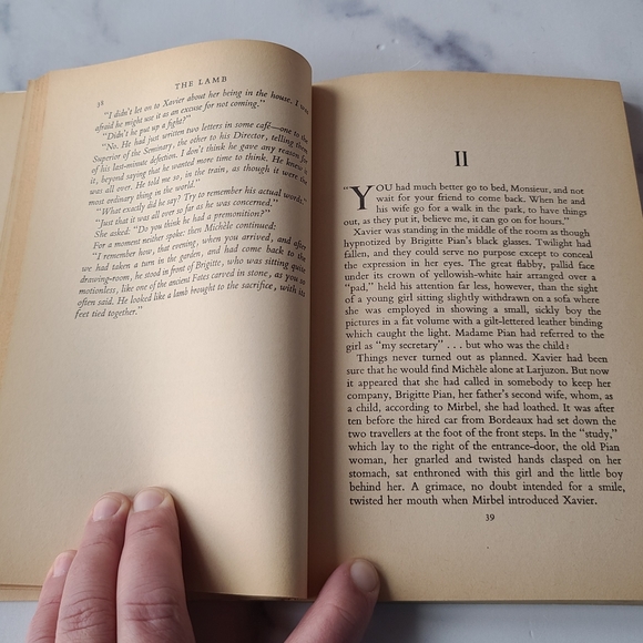 The Lamb - Picture 6 of 10